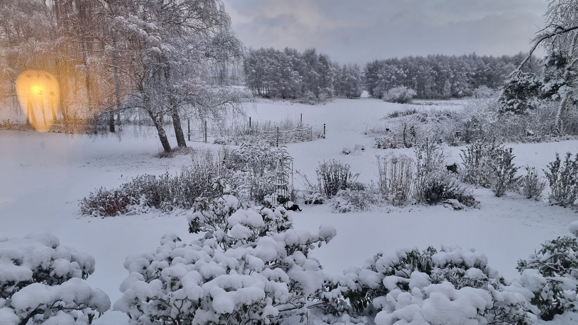 Sne på Hedebovej 9