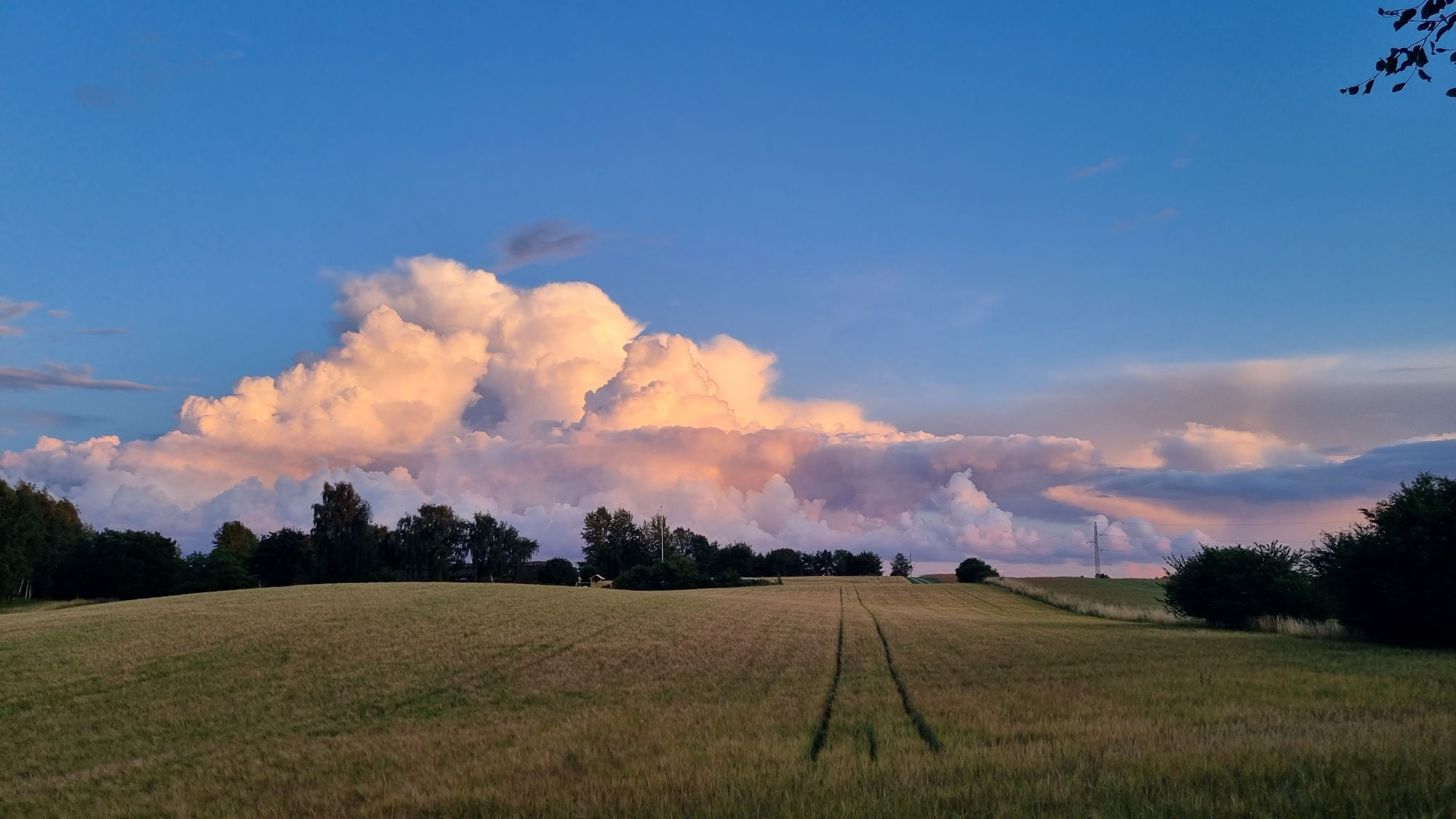 Solnedgang på en sommerdag