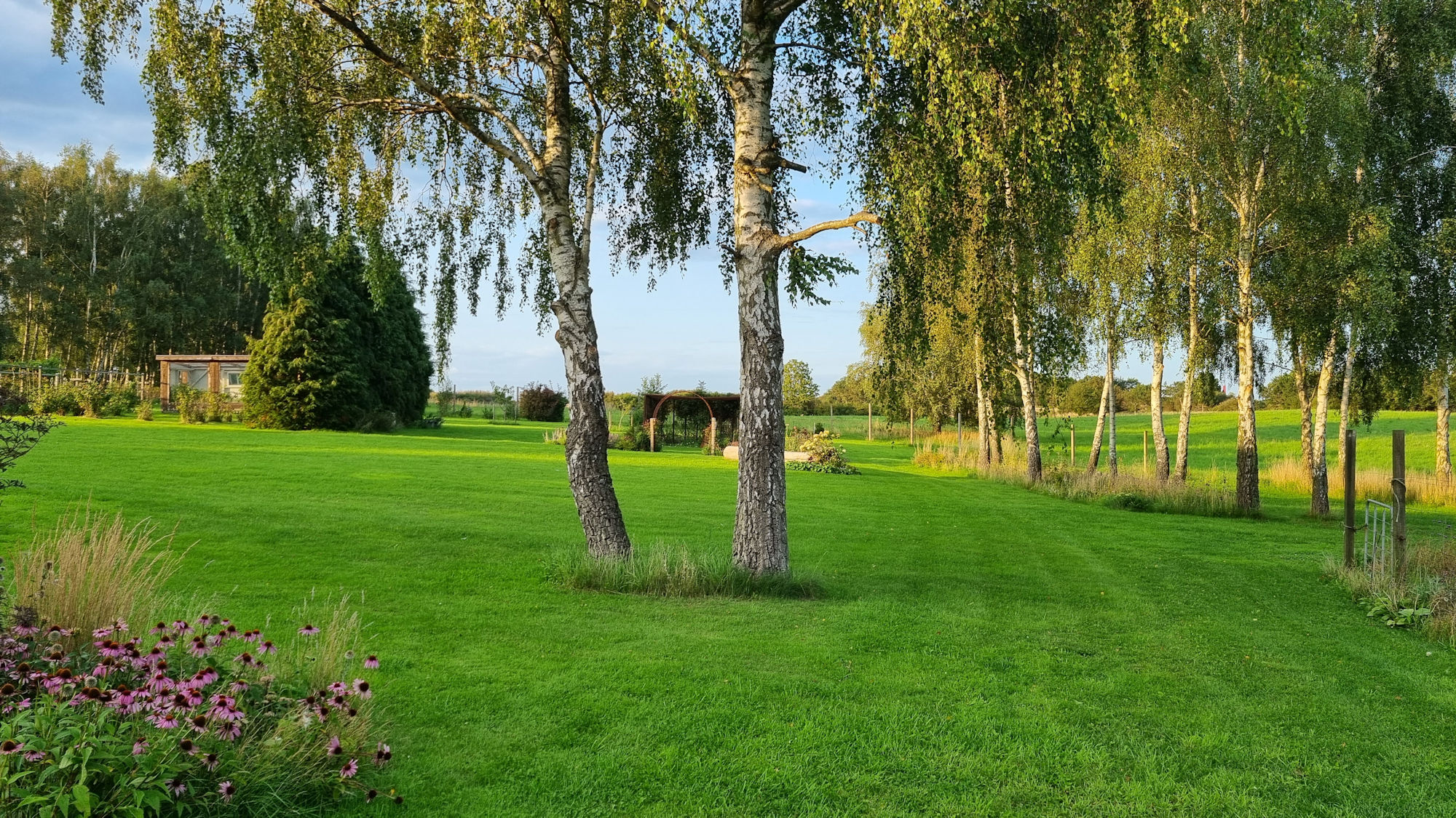 Sommer og forår i haven