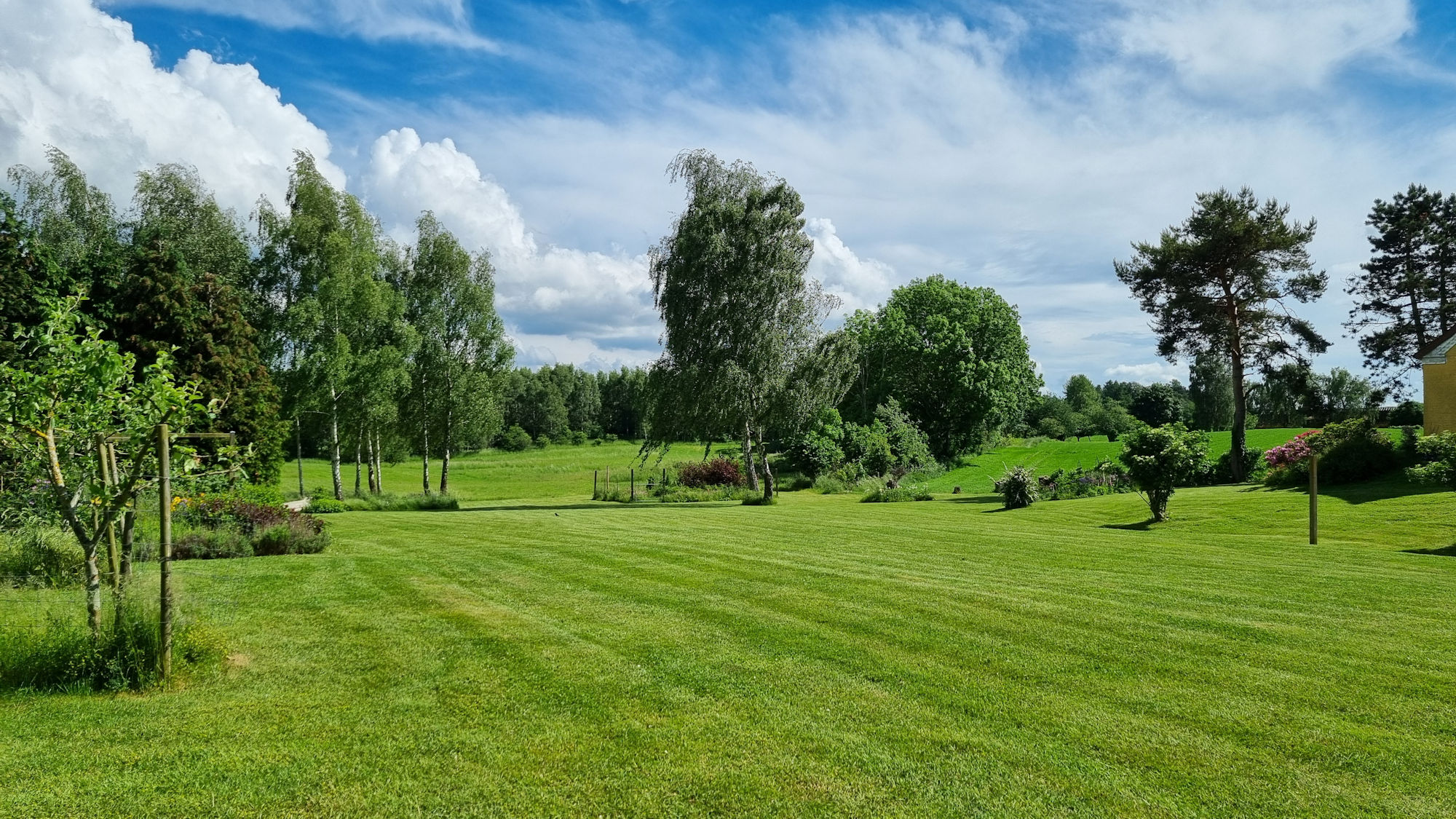 Græsset er nyslået