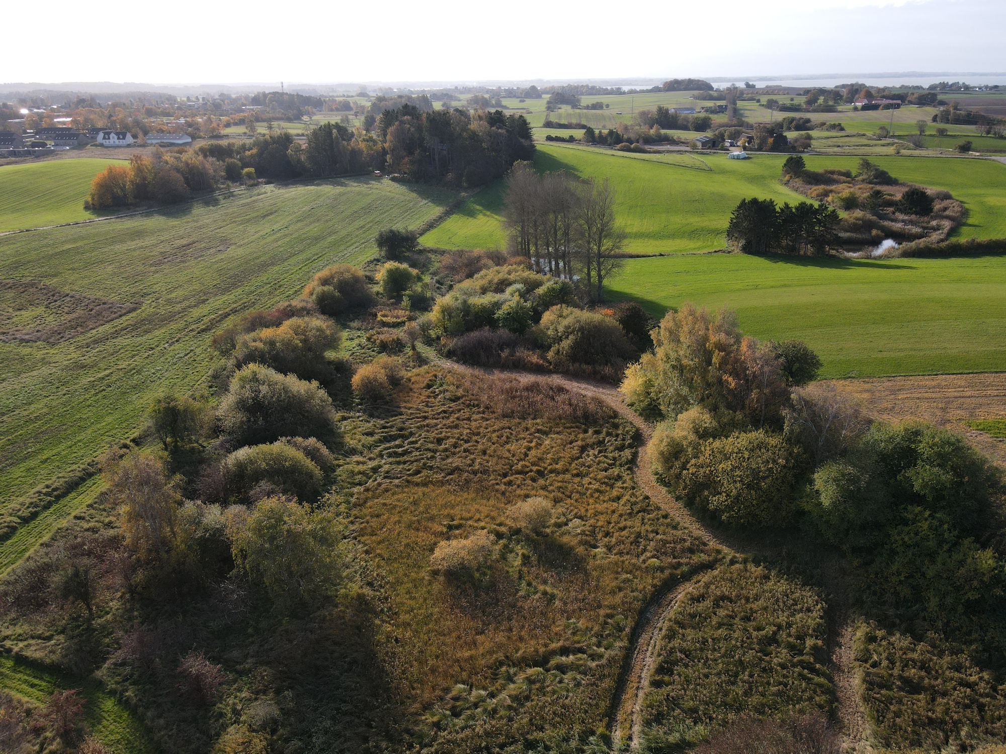 Dronebillede af stisystem